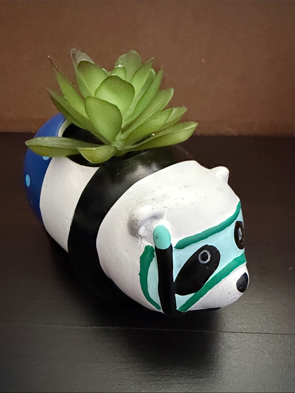 Succulent Decor - Picture 7 of 7